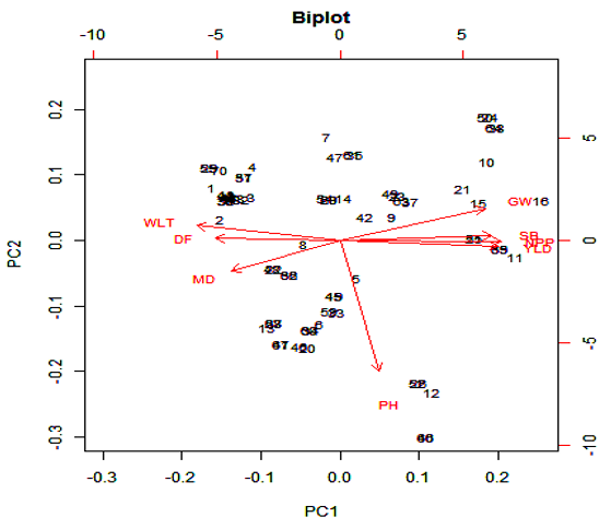 Figure 2: