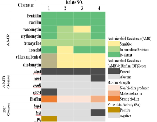 Figure 4