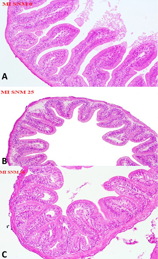 Fig. 3.