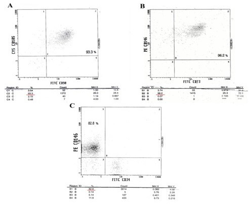 Figure 4: