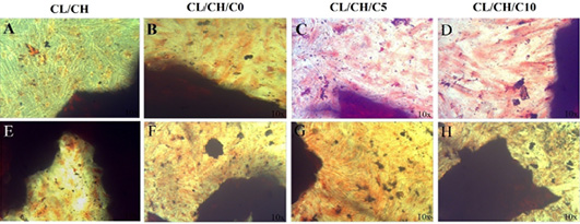 Figure 7: