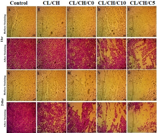 Figure 11: