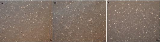 Figure 5: