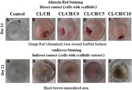 Figure 9: