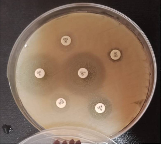 Figure 3: