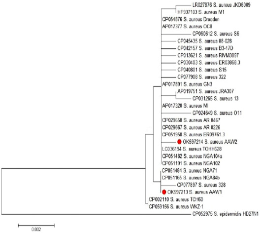 Figure 2: