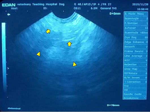 Figure 2: