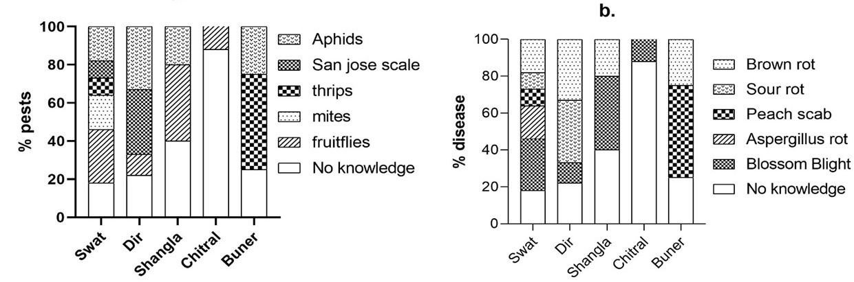 Figure 5: