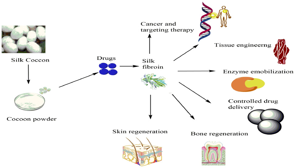 Figure 3: