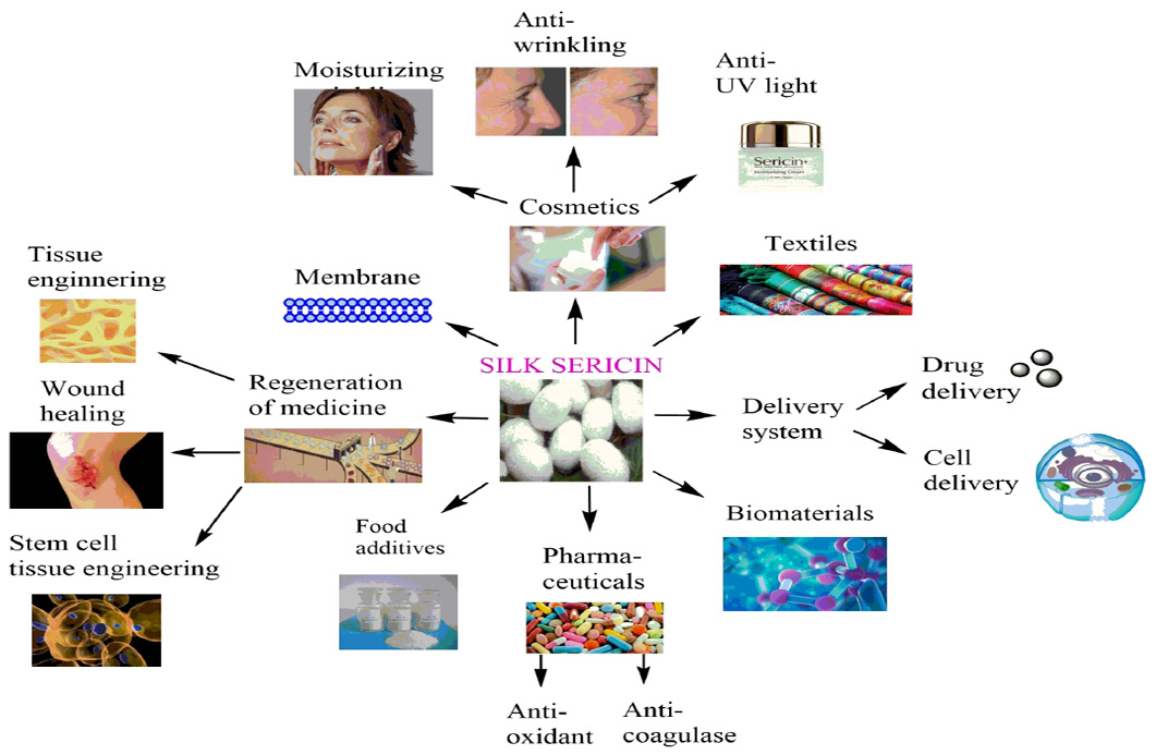 Figure 2:
