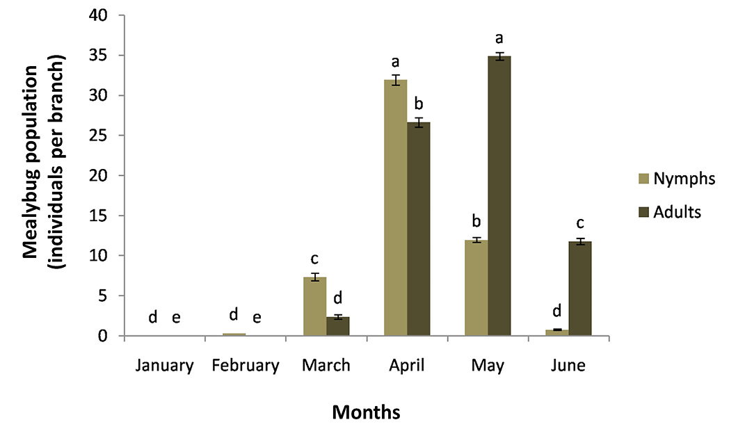 Figure 2: