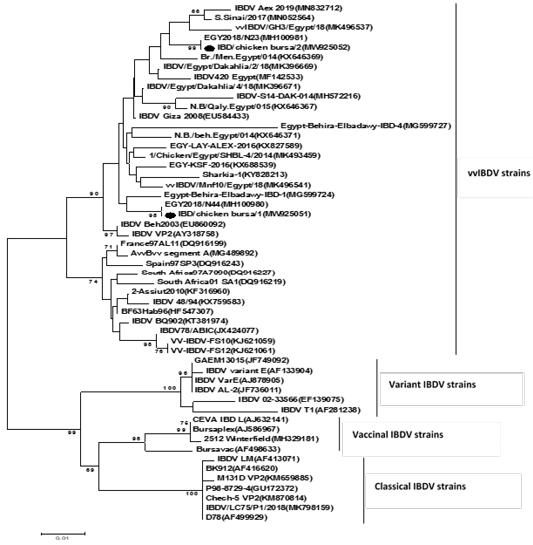 Figure 4: