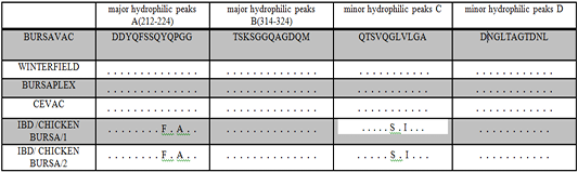 Table 4: