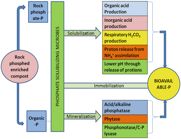 Figure 2: