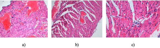 Figure 4: