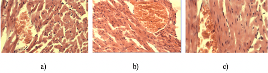 Figure 5: