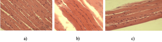Figure 6:
