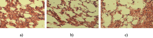 Figure 9: