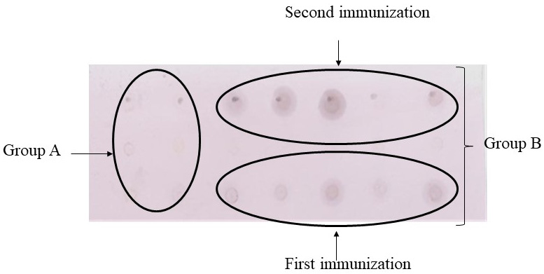Fig. 6.