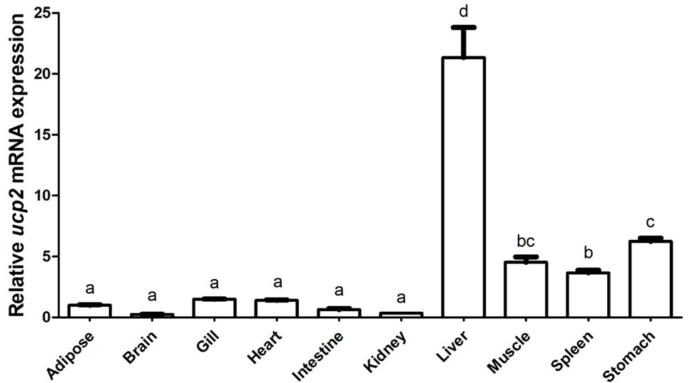 Fig. 4.