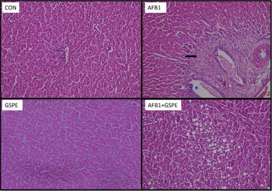 Figure 3: