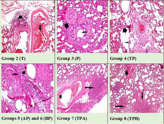 Figure 4: