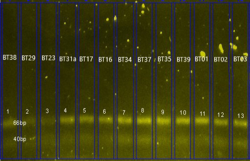 Figure 3: