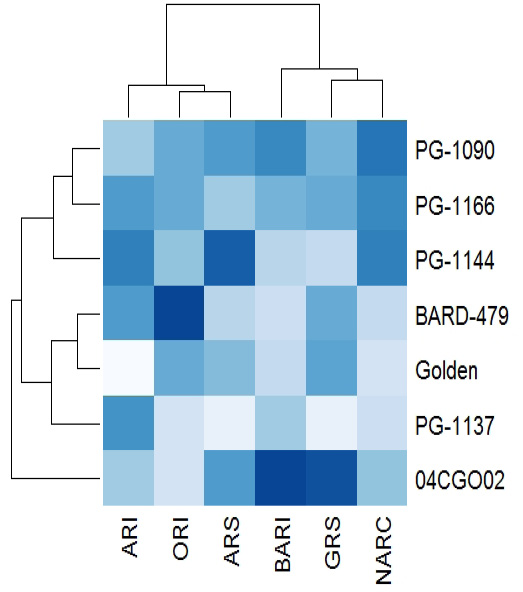 Figure 3: