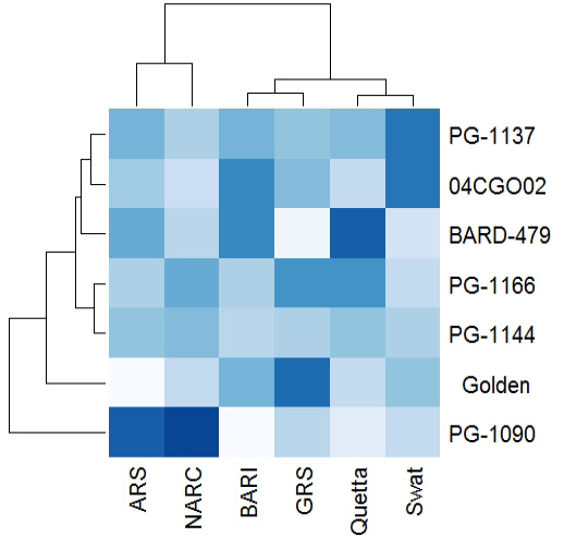 Figure 4: