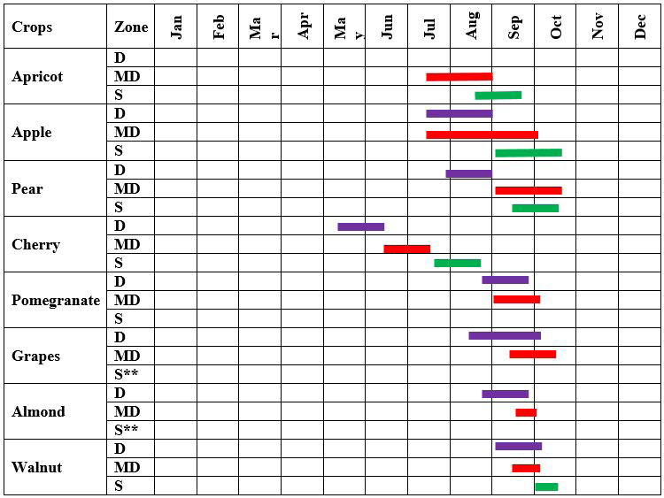 Table 4: