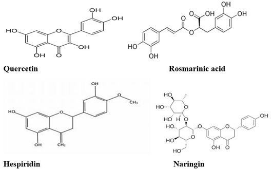 Figure 2: