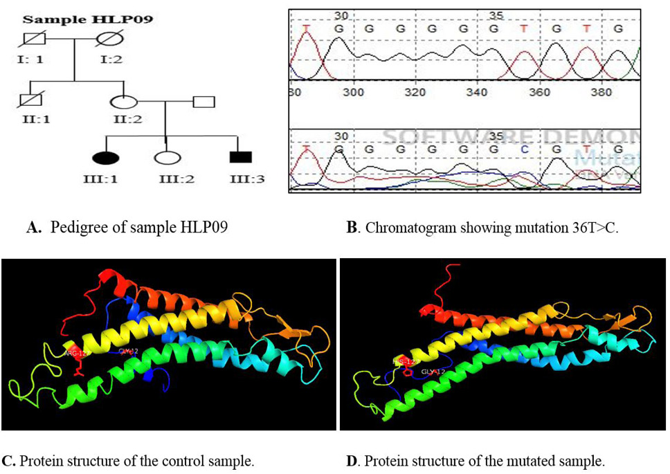 Fig. 3.