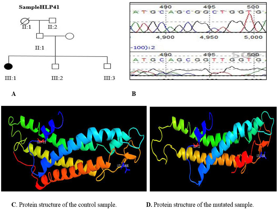 Fig. 4.