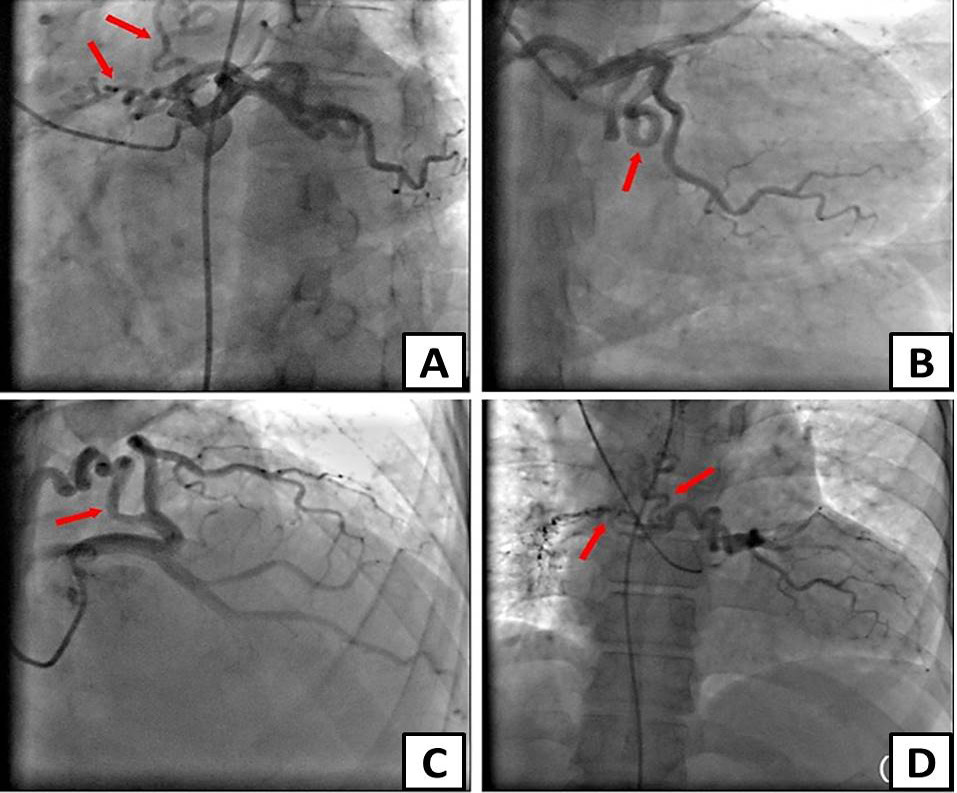 Fig. 3.