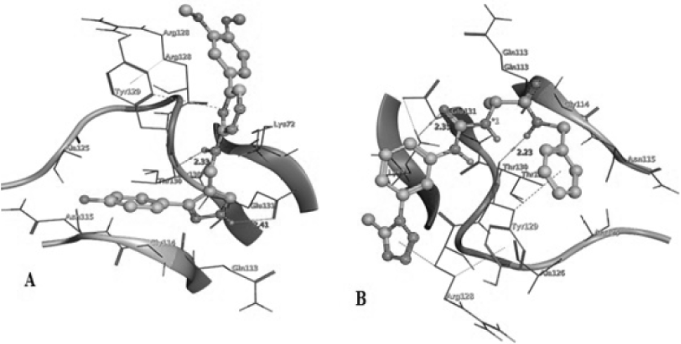 Fig. 9.