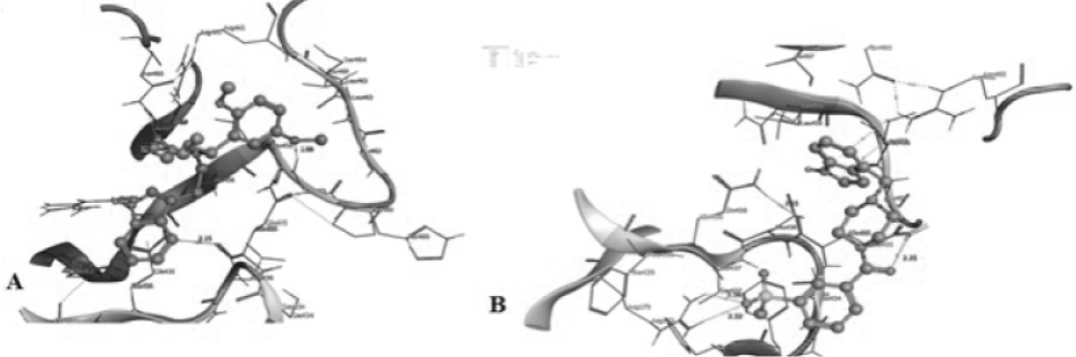 Fig. 8.