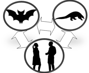 Fig. 3.