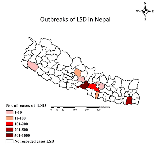 Figure 2: