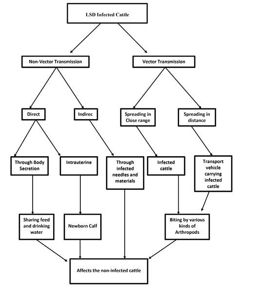 Figure 1: