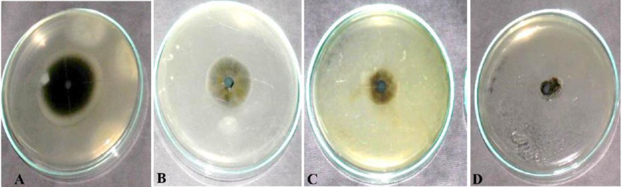 Figure 5: