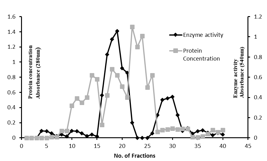Fig. 5.