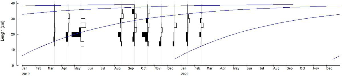Fig. 4.