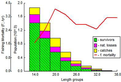 Fig. 7.
