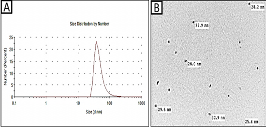 Figure 2: