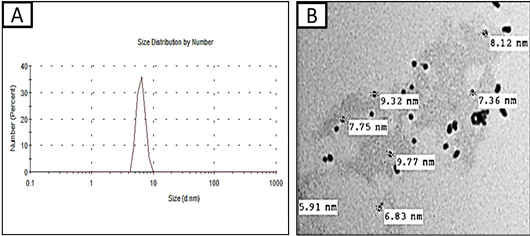 Figure 1: