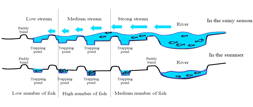 Figure 3: