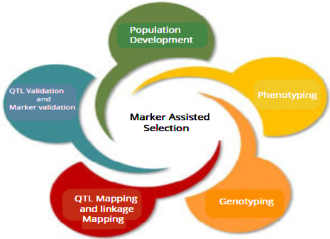 Figure 5: