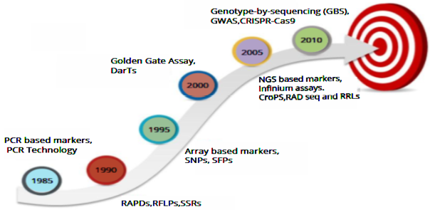 Figure 6: