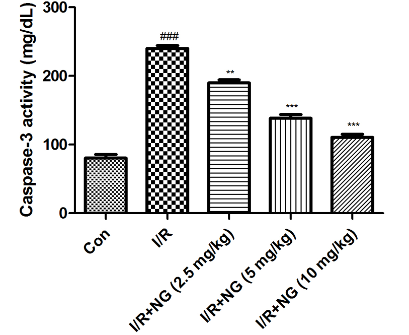 Fig. 10.