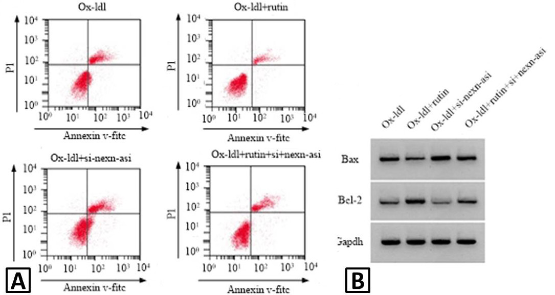 Fig. 4.